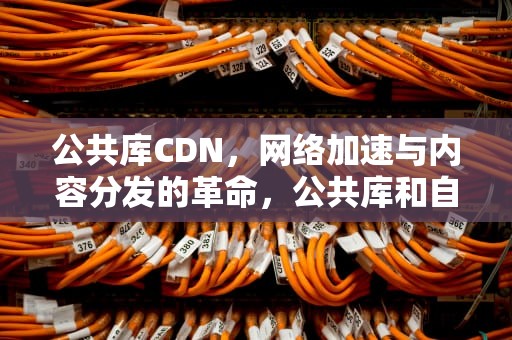 公共库CDN，网络加速与内容分发的革命，公共库和自体库的区别