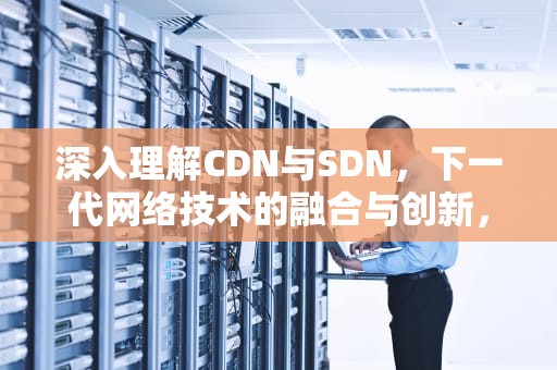 深入理解CDN与SDN，下一代网络技术的融合与创新，充电暖水袋哪个品牌好