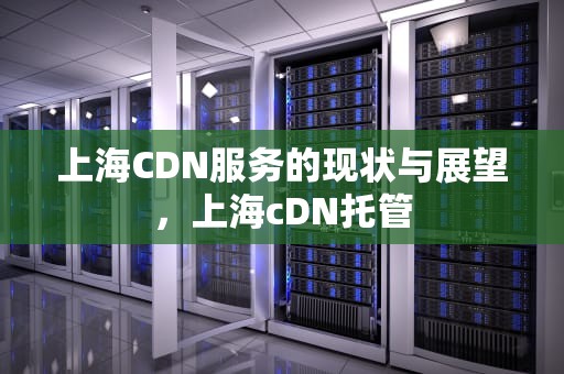 上海CDN服务的现状与展望，上海cDN托管