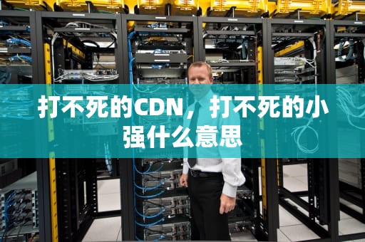 打不死的CDN，打不死的小强什么意思