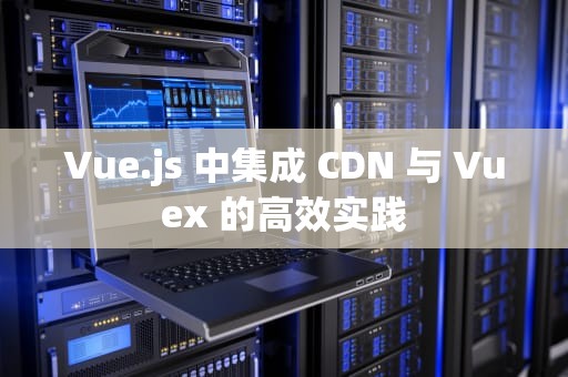 Vue.js 中集成 CDN 与 Vuex 的高效实践