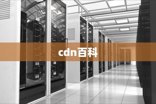 cdn百科