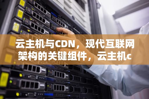 云主机与CDN，现代互联网架构的关键组件，云主机cdn