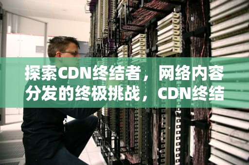 探索CDN终结者，网络内容分发的终极挑战，CDN终结者