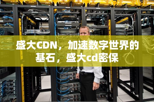 盛大CDN，加速数字世界的基石，盛大cd密保