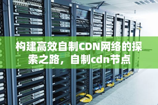 构建高效自制CDN网络的探索之路，自制cdn节点