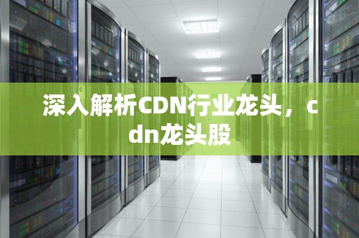 深入解析CDN行业龙头，cdn龙头股
