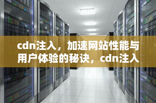 cdn注入，加速网站性能与用户体验的秘诀，cdn注入法