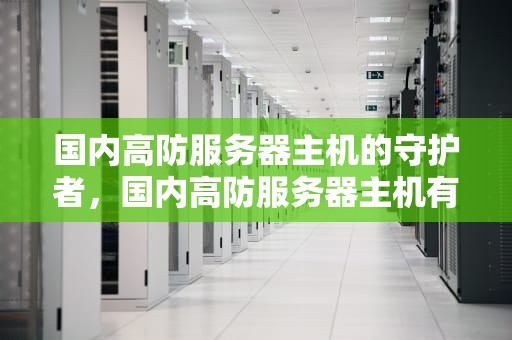 国内高防服务器主机的守护者，国内高防服务器主机有哪些