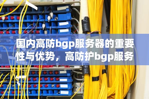 国内高防bgp服务器的重要性与优势，高防护bgp服务器