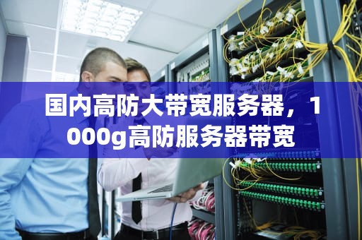 国内高防大带宽服务器，1000g高防服务器带宽