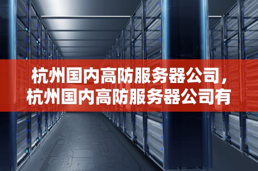 杭州国内高防服务器公司，杭州国内高防服务器公司有哪些
