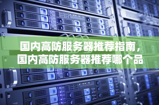 国内高防服务器推荐指南，国内高防服务器推荐哪个品牌