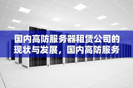 国内高防服务器租赁公司的现状与发展，国内高防服务器租赁公司排名