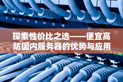 探索性价比之选——便宜高防国内服务器的优势与应用，低价高防服务器