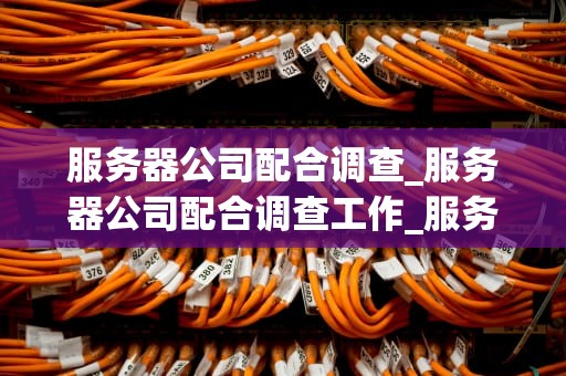 服务器公司配合调查_服务器公司配合调查工作_服务器公司配合调查：关键词分析与应对策略