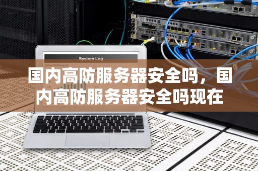 国内高防服务器安全吗，国内高防服务器安全吗现在
