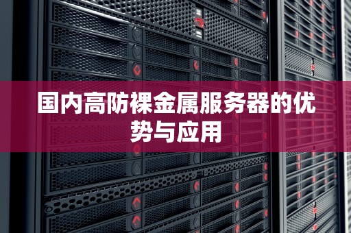 国内高防裸金属服务器的优势与应用
