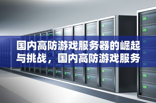 国内高防游戏服务器的崛起与挑战，国内高防游戏服务器有哪些