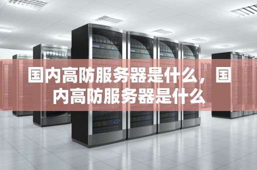 国内高防服务器是什么，国内高防服务器是什么