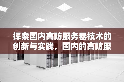 探索国内高防服务器技术的创新与实践，国内的高防服务器技术有哪些