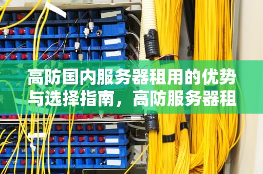 高防国内服务器租用的优势与选择指南，高防服务器租赁