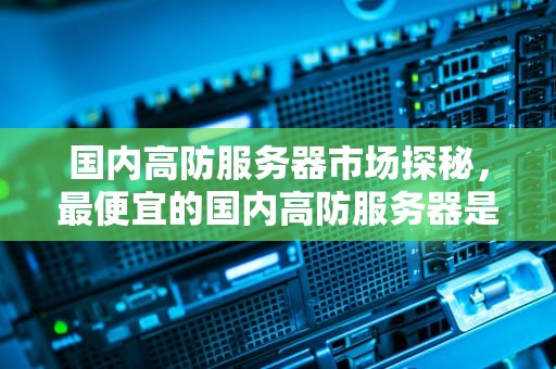 国内高防服务器市场探秘，最便宜的国内高防服务器是什么