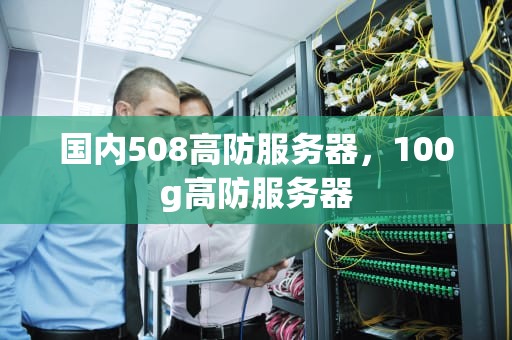 国内508高防服务器，100g高防服务器