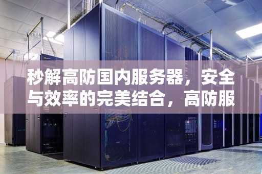 秒解高防国内服务器，安全与效率的完美结合，高防服务器国外