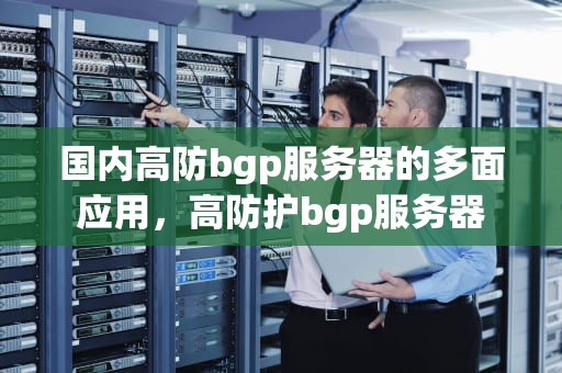 国内高防bgp服务器的多面应用，高防护bgp服务器