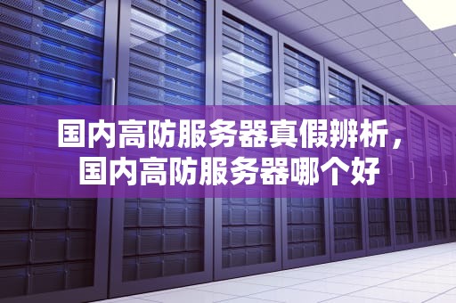 国内高防服务器真假辨析，国内高防服务器哪个好