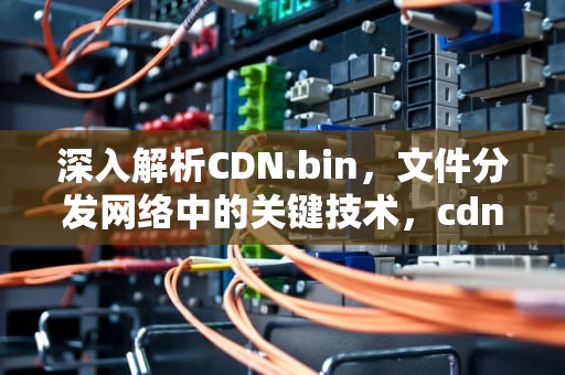 深入解析CDN.bin，文件分发网络中的关键技术，cdn.bin是什么文件