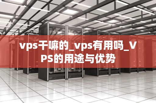 vps干嘛的_vps有用吗_VPS的用途与优势