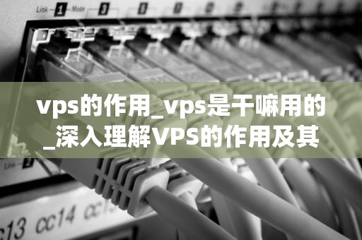 vps的作用_vps是干嘛用的_深入理解VPS的作用及其在现代科技中的重要性