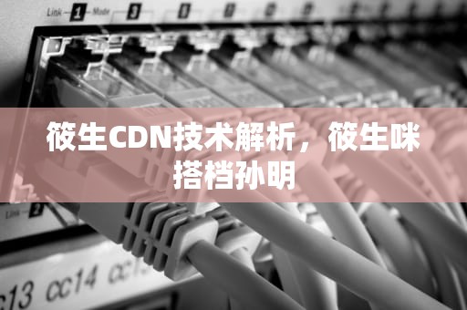筱生CDN技术解析，筱生咪搭档孙明