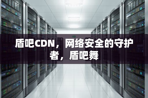 盾吧CDN，网络安全的守护者，盾吧舞