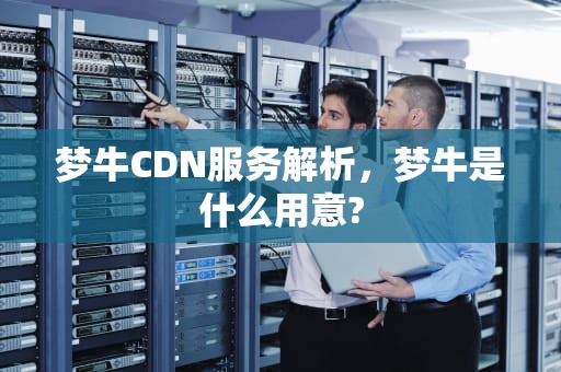 梦牛CDN服务解析，梦牛是什么用意?
