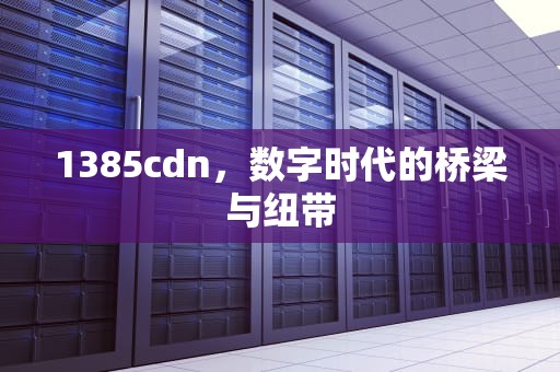 1385cdn，数字时代的桥梁与纽带