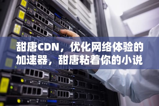 甜唐CDN，优化网络体验的加速器，甜唐粘着你的小说