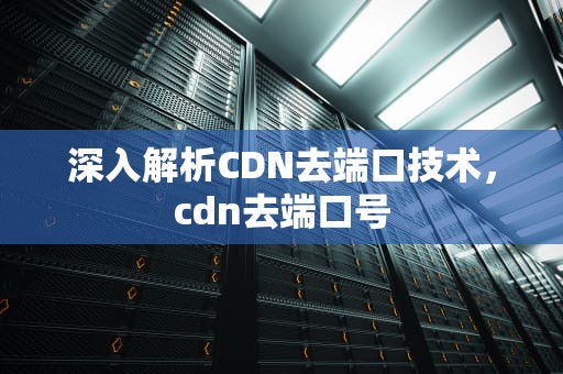 深入解析CDN去端口技术，cdn去端口号