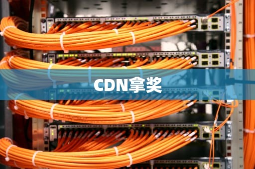 CDN拿奖