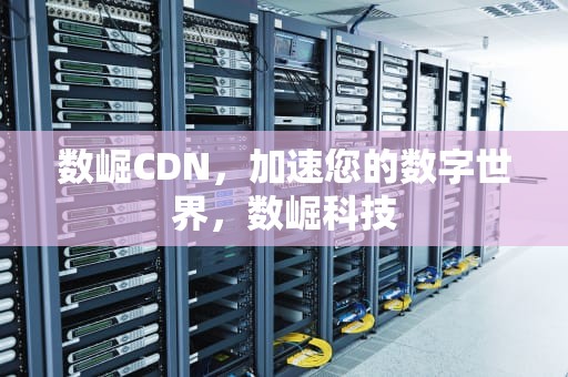 数崛CDN，加速您的数字世界，数崛科技