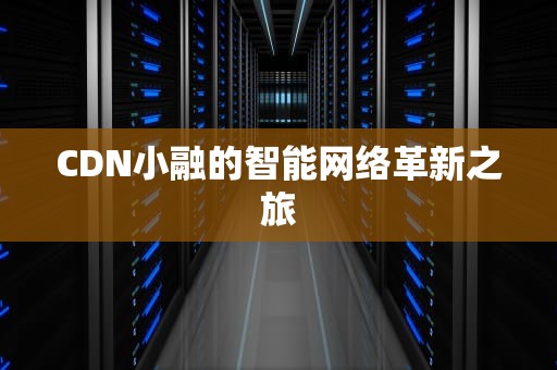CDN小融的智能网络革新之旅