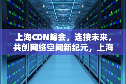 上海CDN峰会，连接未来，共创网络空间新纪元，上海cio峰会