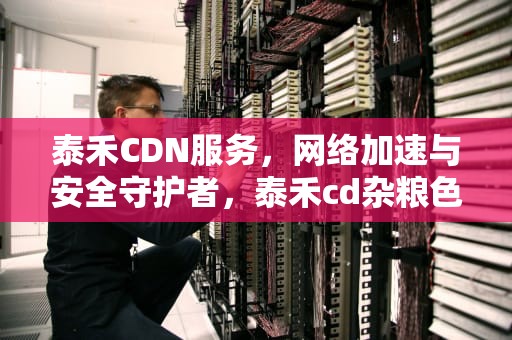 泰禾CDN服务，网络加速与安全守护者，泰禾cd杂粮色选机是彩机吗