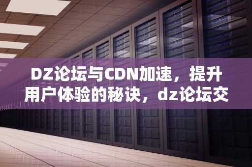 DZ论坛与CDN加速，提升用户体验的秘诀，dz论坛交易