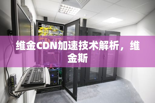维金CDN加速技术解析，维金斯