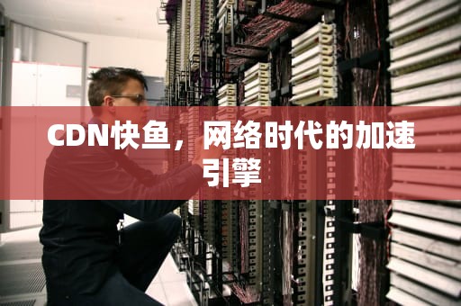 CDN快鱼，网络时代的加速引擎