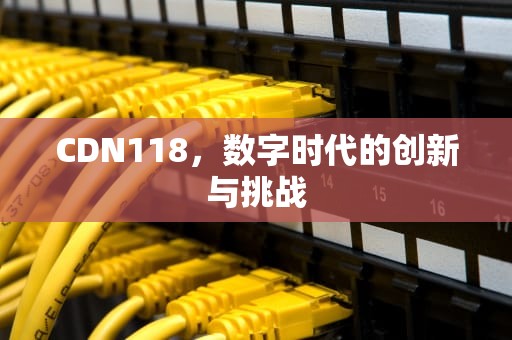 CDN118，数字时代的创新与挑战