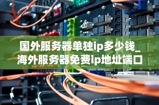 国外服务器单独ip多少钱_海外服务器免费ip地址端口用户名_国外服务器单独IP的价格及其影响因素